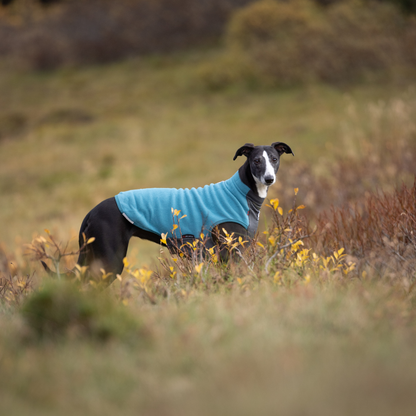 Trail quest fleece pullover