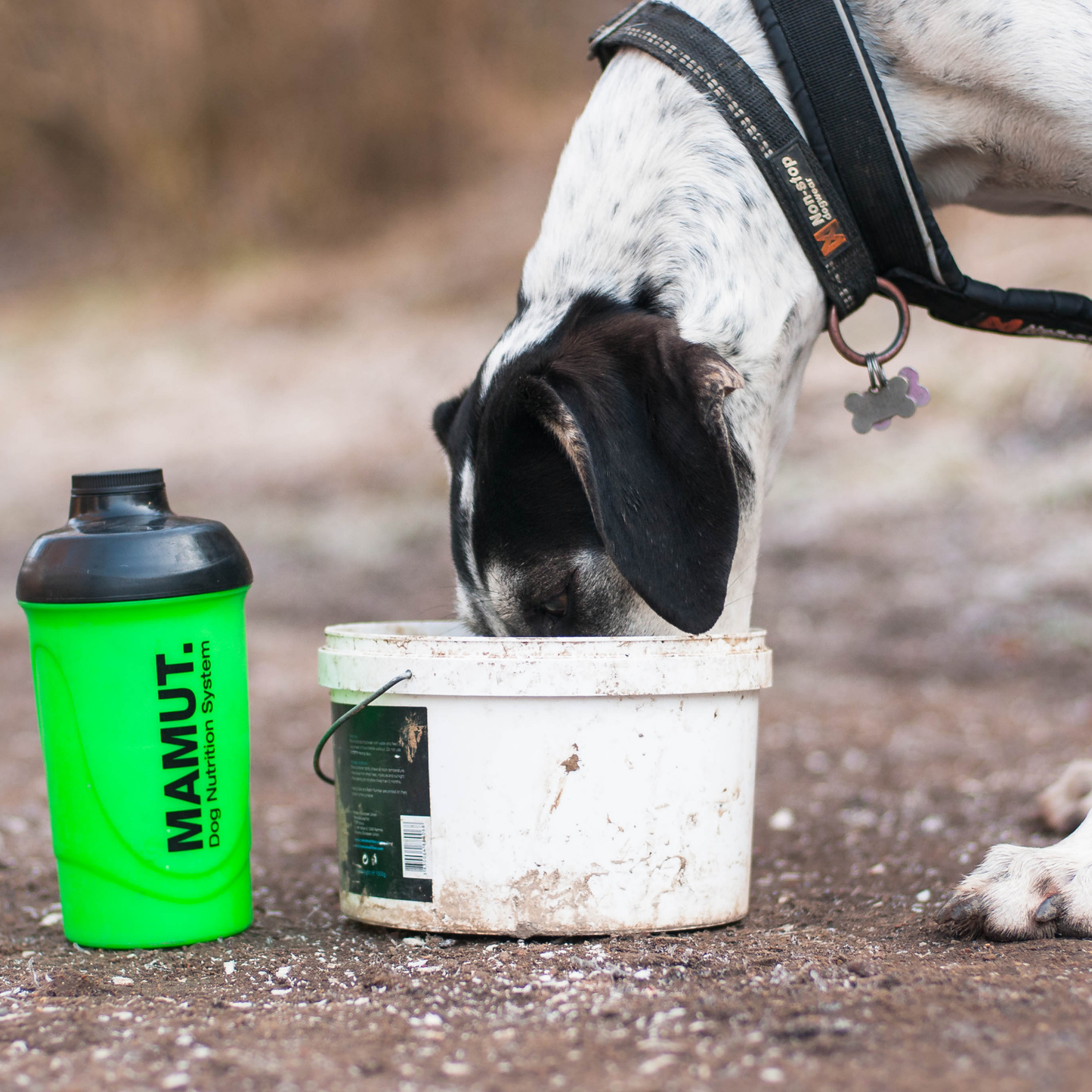 MAMUT Pre-Run Drink – 40 g Pouch