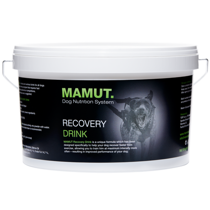 MAMUT Recovery Drink