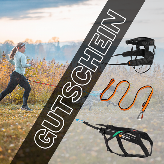 Gutschein für Canicross Set