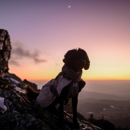 Glacier wool jacket 3.0