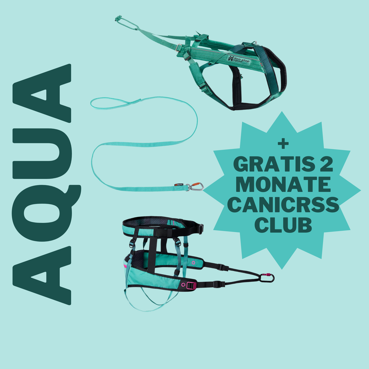 Canicross Set Aqua