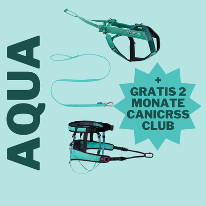 Canicross Set Aqua