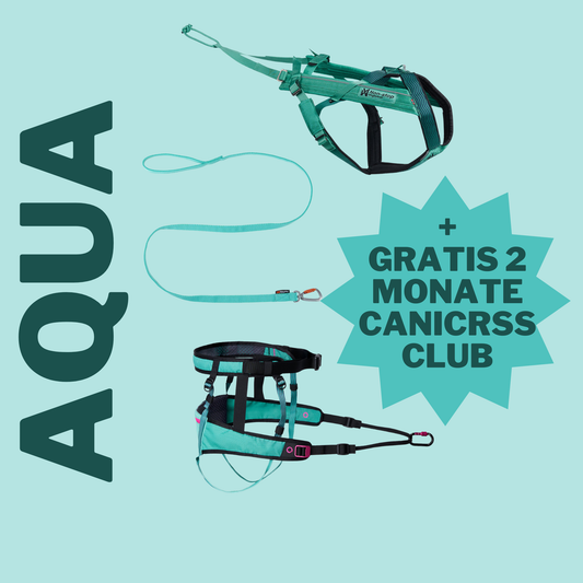 Canicross Set Aqua