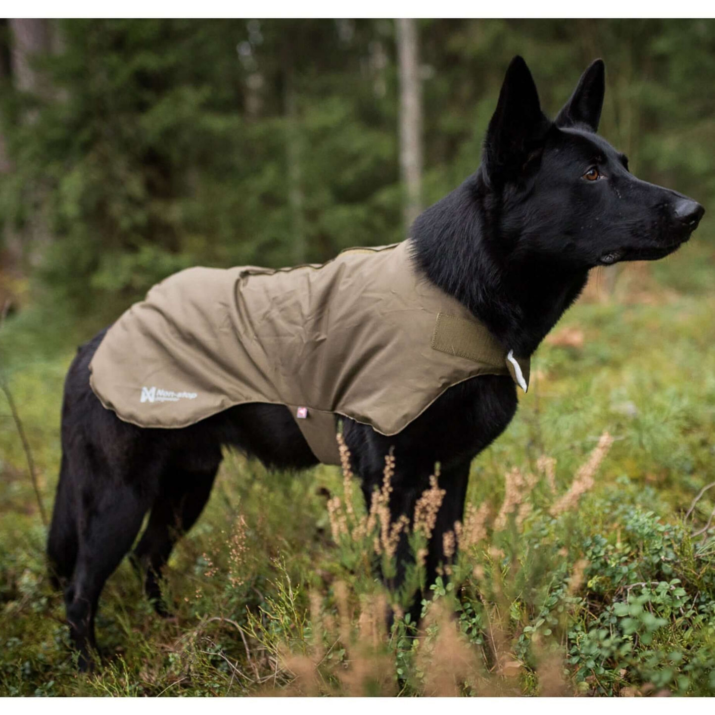 Blest Jacket | Outlet