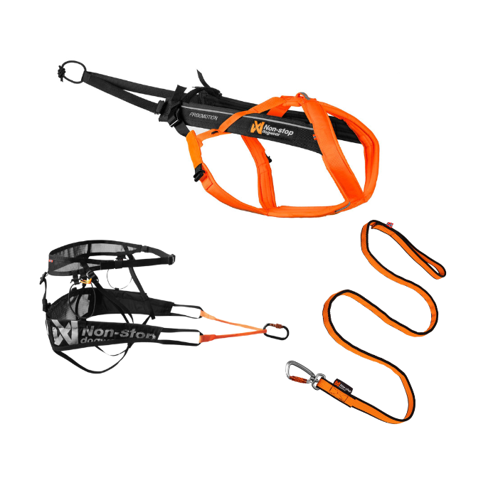 Canicross Set Pro