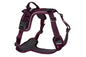 Ramble harness