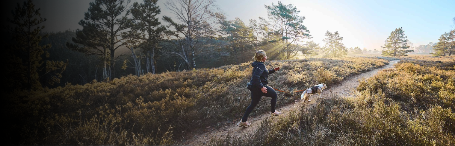 Joggen und Trailrunning mit Hund