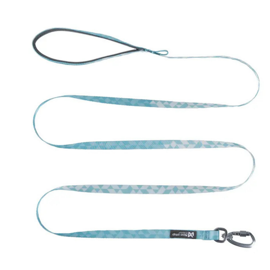 Trail quest leash