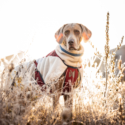 Trekking fleece jacket