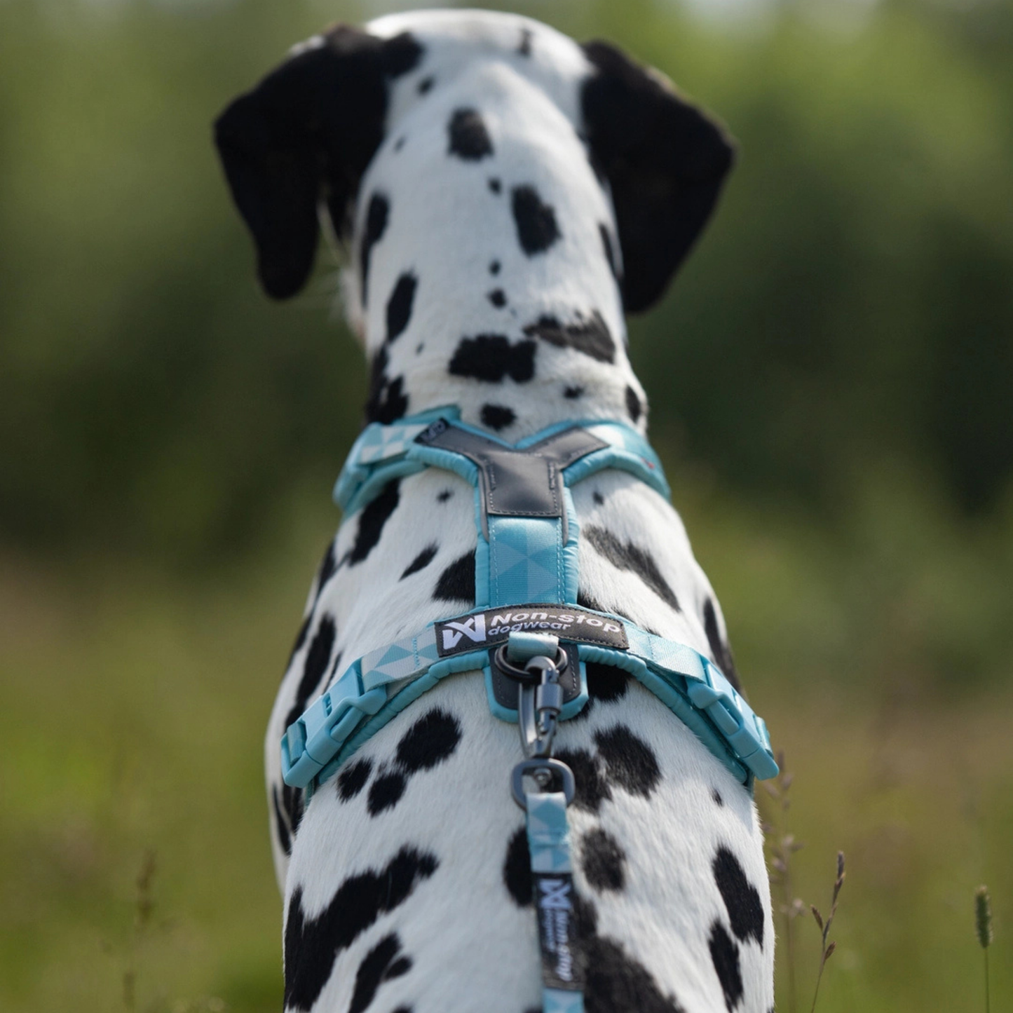 Trekking line harness CLIP'N™