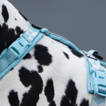 Trekking line harness CLIP'N™