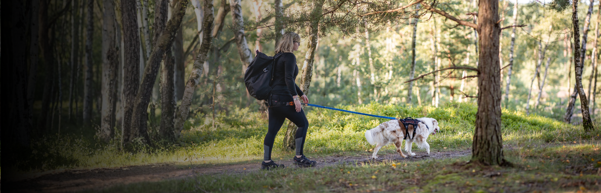 Hund mit Wanderleine beim Wandern