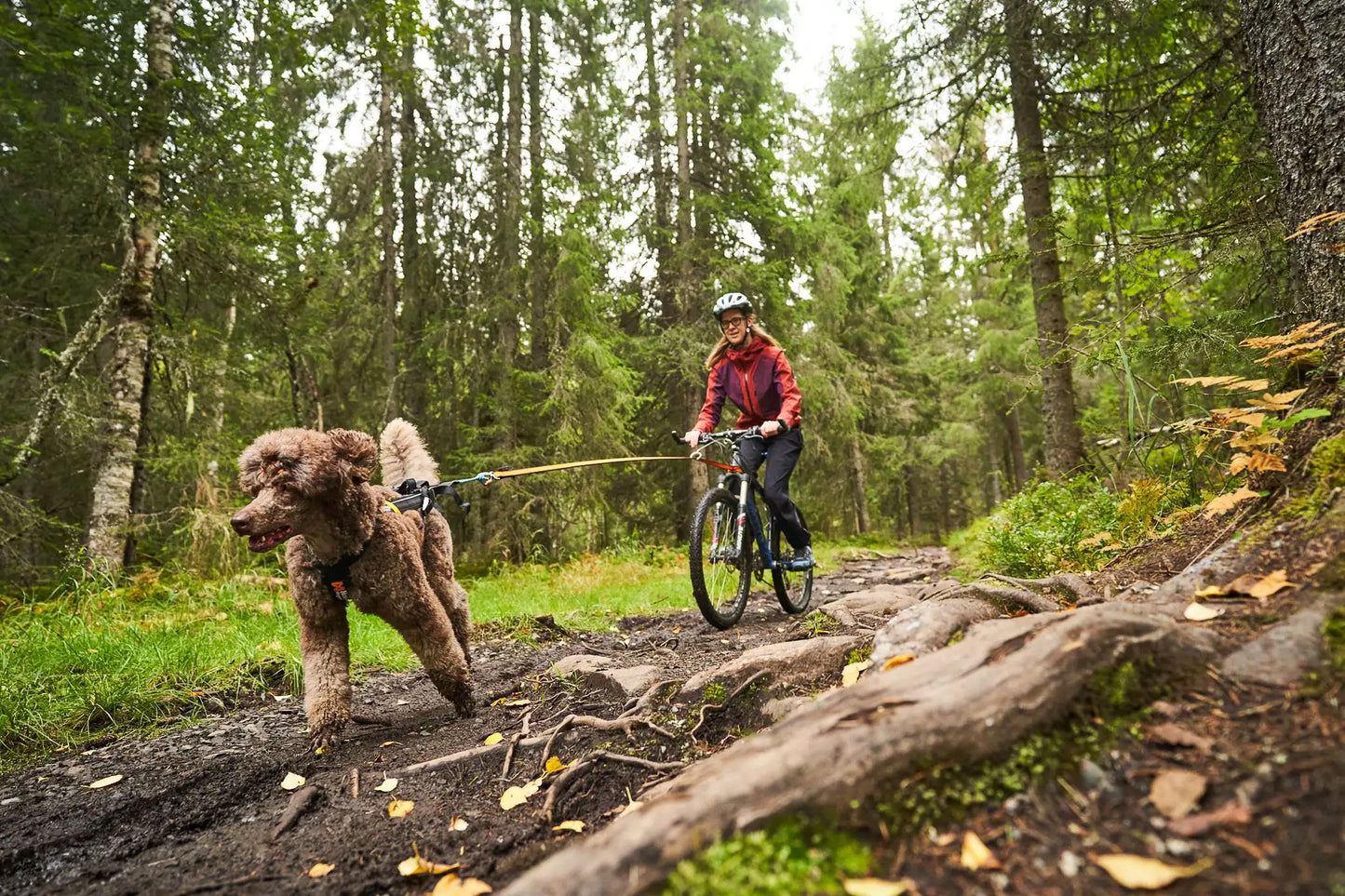 Biken mit Hund