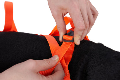 Dog resce sling