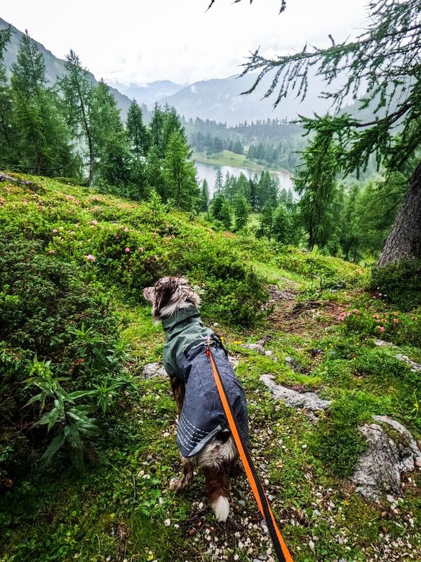 Wandern im Regen