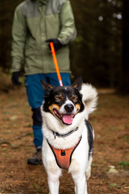 Ultra Harness | Outlet