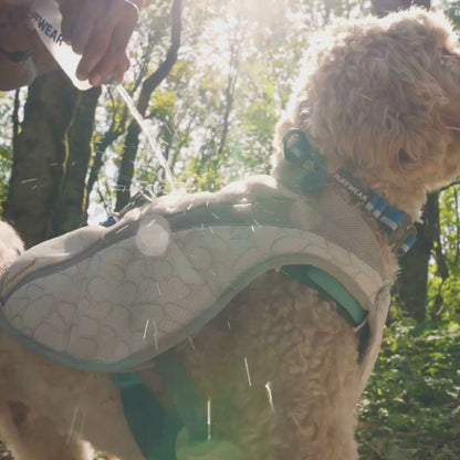 Swamp Cooler Zip™ Cooling Dog Vest