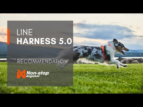 Line Harness 5.0